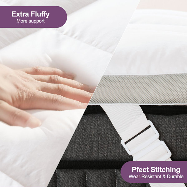 Alwyn Home Lise White Goose Down Mattress Topper Wayfair